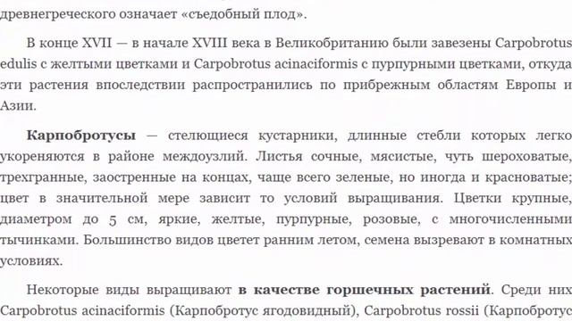 Карпобротус. Семейство Аизовые. смотреть онлайн