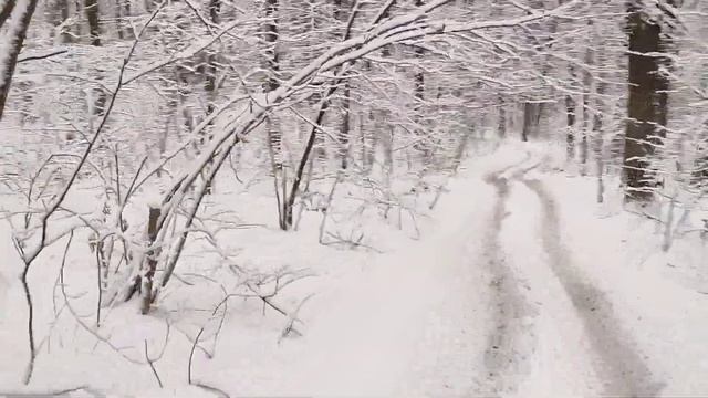 Прогулка по зимнему лесу на квадроцикле Avantis Hunter. смотреть онлайн