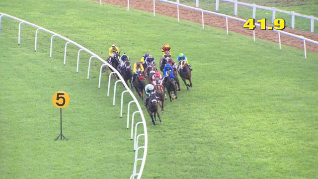 RACE NO 23 - DARK SON WINS The Manjri Stud Farm Trophy Div. II смотреть онлайн