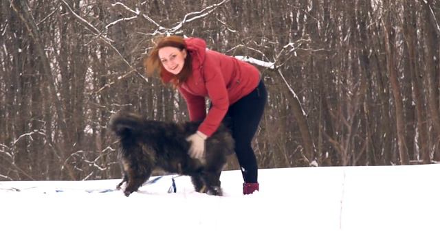 Зорро смотреть онлайн