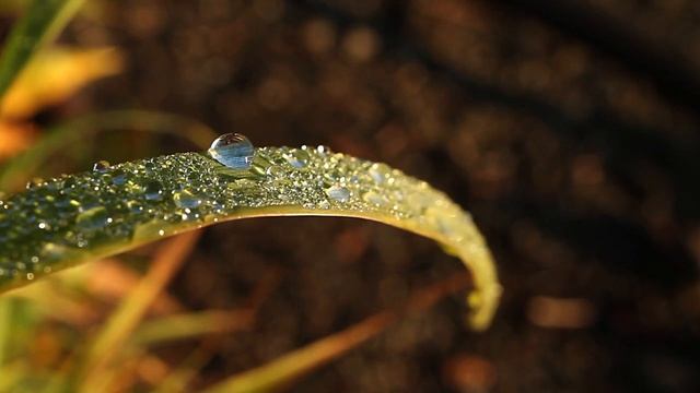 Лучшая музыка для релакса смотреть онлайн