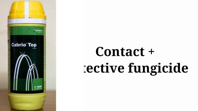 Cabrio Top /cabrio Top Fungicide In Hindu  /metiram 55%+ Pyraclostrobin5 Wg/basf Cabrio Top