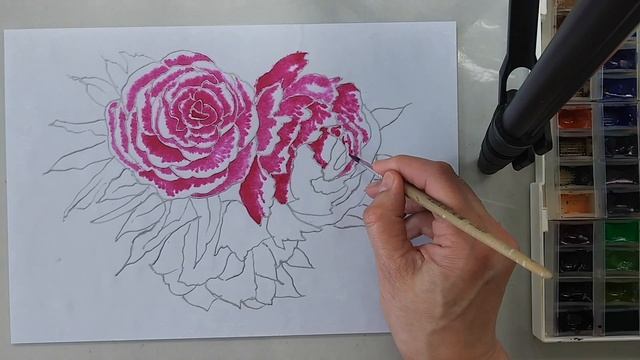 Рисуем цветы роз контуром для ткани и акварелью. Часть 3. смотреть онлайн