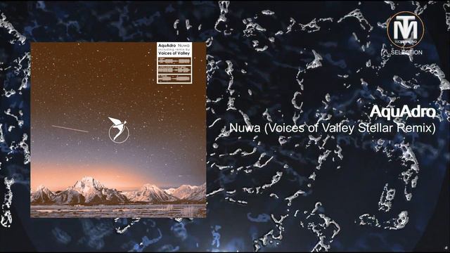 AquAdro - Nuwa (Voices of valley Stellar Remix) [Astral Records] смотреть онлайн