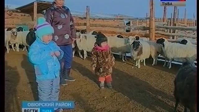 Будни чабанов Овюрский район смотреть онлайн