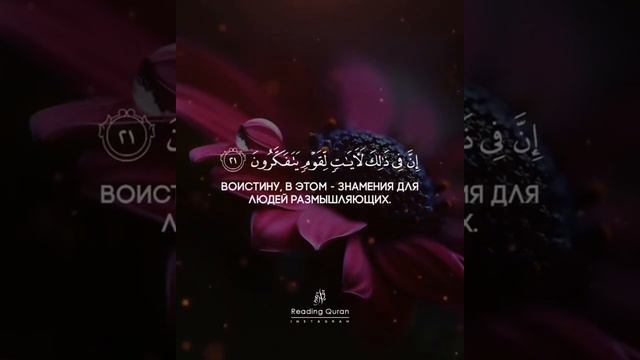 Коран
Сура 30 «Римляне», аяты 21,22.
Чтец: Мевлан Куртуши ВАТ САП РАССЫЛКА +7(964) 067 00 64 смотреть онлайн