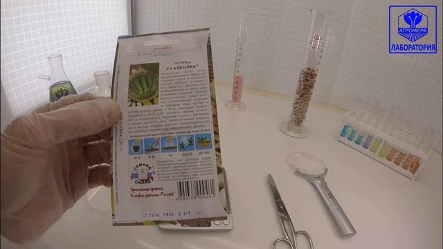 Огурец Куколка F1. СеДеК смотреть онлайн