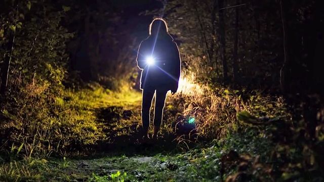 Parents burst into tears when they learned what this wolf did to their child in the forest смотреть онлайн