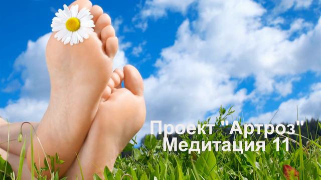 11 Проект _Артроз_ 11