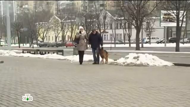 Возвращение Мухтара 2. Рогоносец смотреть онлайн
