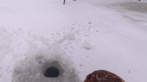 ГДЕ ЛОВИТЬ ОКУНЯ на мормышку  УЛОВИСТАЯ мормышка