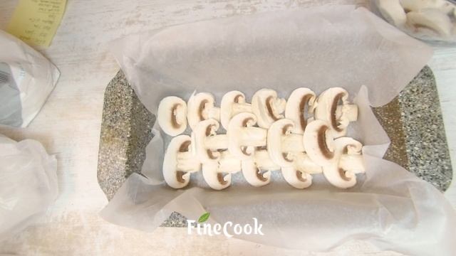 Цирковые Представления и Шоу