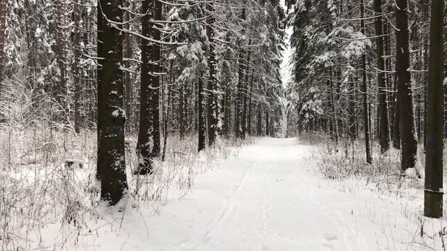 Жена совершила ошибку и прося у мужа прощения не ожидала такой реакции. Жизненные истории. Рассказы смотреть онлайн