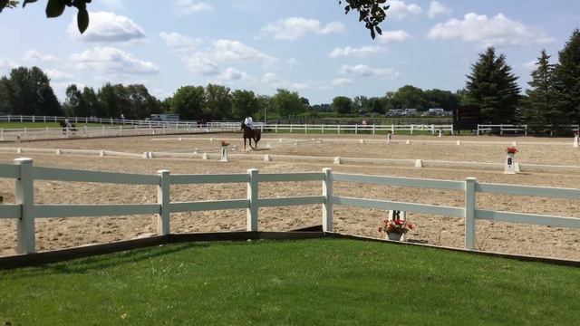 Grade III para dressage novice test. смотреть онлайн