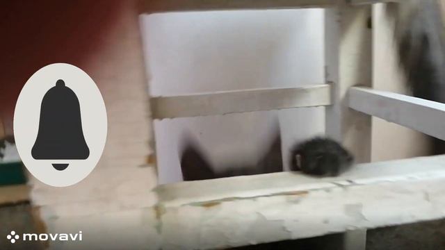 новости смотреть онлайн