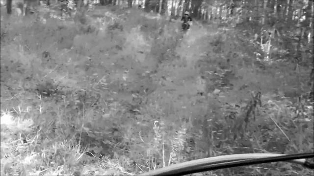 Покатушки в лесу на питбайках. Racing in the woods in the pit bikes смотреть онлайн