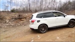 Subaru Forester проверка X Mode