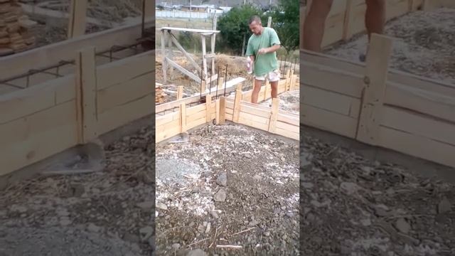 Степная гадюка в Крыму смотреть онлайн