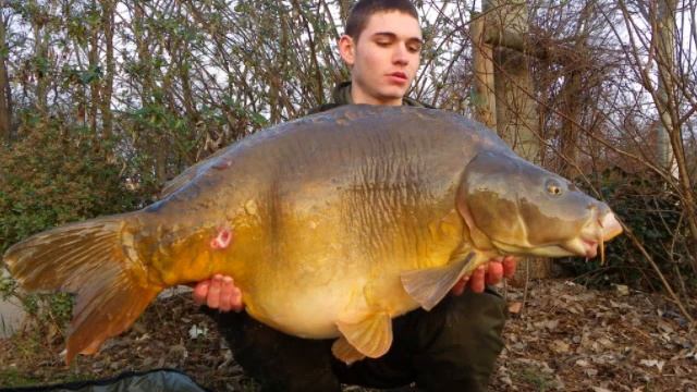 péche du 9 février 2011 смотреть онлайн