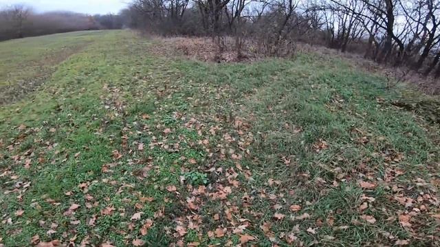 Панский Дом История  ПОИСКА МЕСТА где жили Паны ОДИН в ЛЕСУ