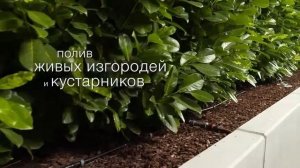 Как устроен КАПЕЛЬНЫЙ ПОЛИВ от GARDENA?
