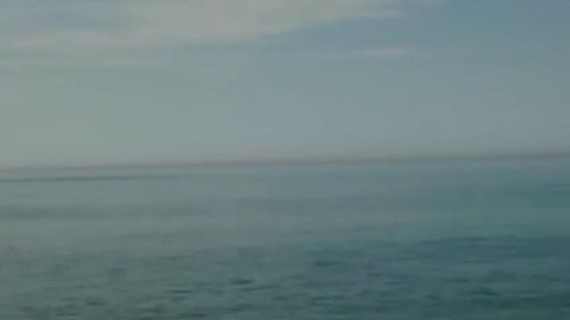 Черное море дельфины Сочи смотреть онлайн