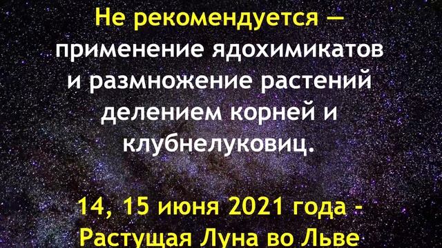 Лунный посевной календарь на июнь 2021 года смотреть онлайн