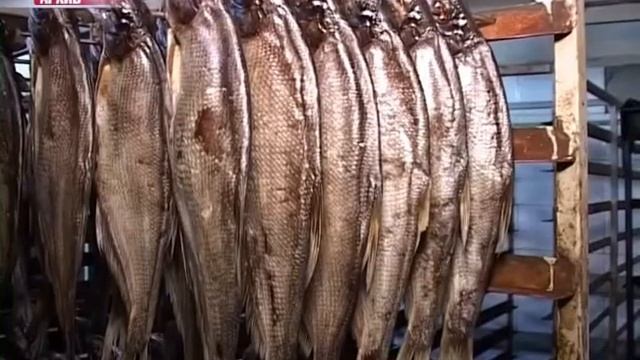 В Пошехонье на улице Рыбаков вновь появилась вода смотреть онлайн