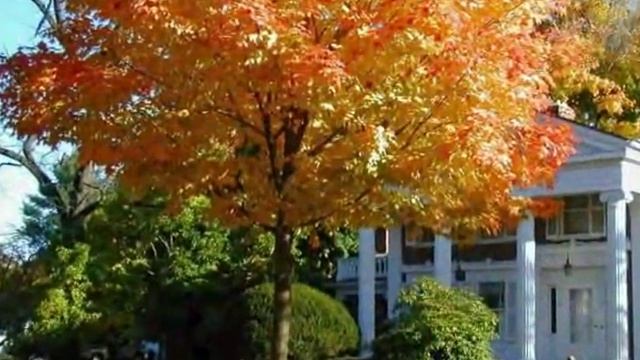 TCHAIKOVSKY - Autumn Song (arr. for orchestra) смотреть онлайн