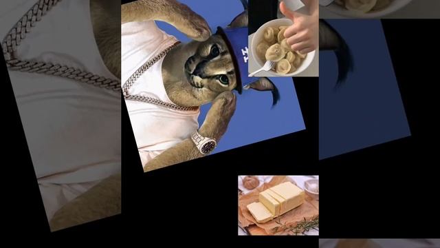 Как готовить пельмени ( рецепт) #пельмени #любительпельменей #какготовитьпельмени смотреть онлайн