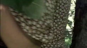 Легенды Уголовного Розыска- Поджигатель