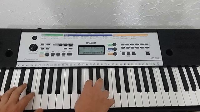 Teclado Yamaha Ypt 255  Review