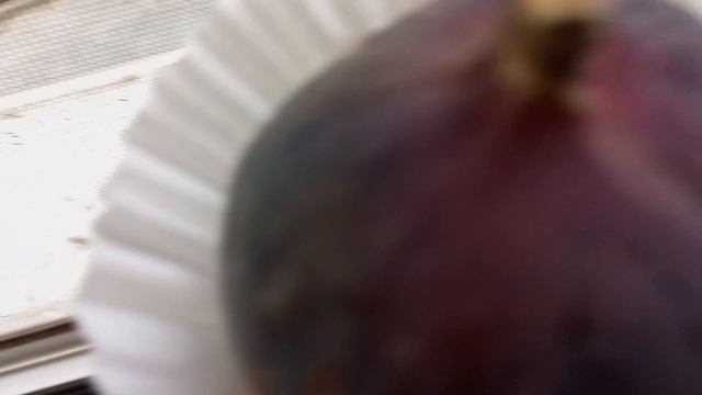 Инжир из Абсолюта смотреть онлайн