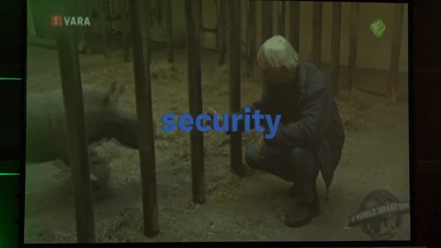 Pycon Ireland 2017: Django and GraphQL - Patrick Arminio смотреть онлайн