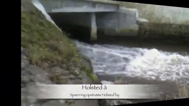 Laksens Udfordring смотреть онлайн