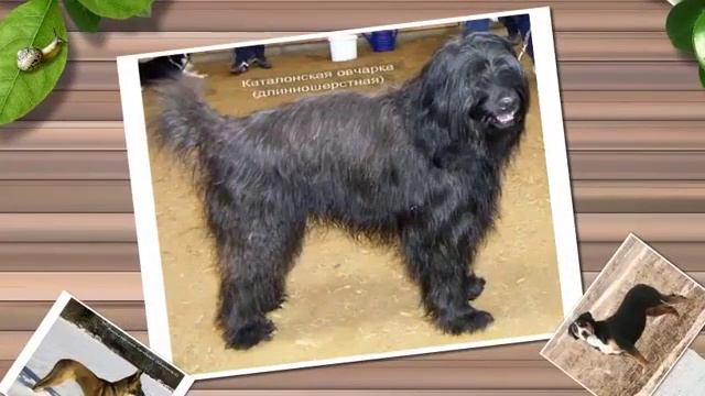 videoplayback смотреть онлайн