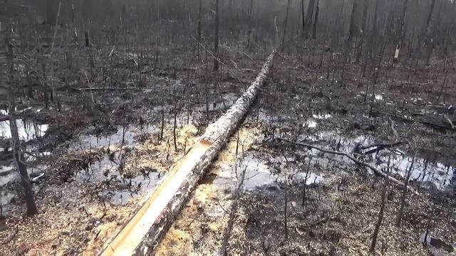 ДЕЛАЕМ СОЛОНЕЦ ЗА ПОЛ ЧАСА.