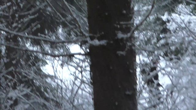 This guy stops at nothing! Snow treasure hunt with EPIC FINDS смотреть онлайн