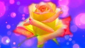 Футаж. Цветочный фон 72