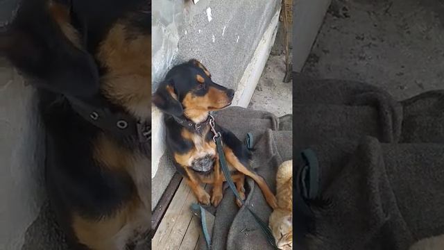 когда делаешь вид, что не понимаешь суть претензии)) смотреть онлайн