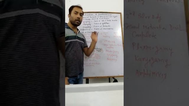 Reproductive System 30 смотреть онлайн