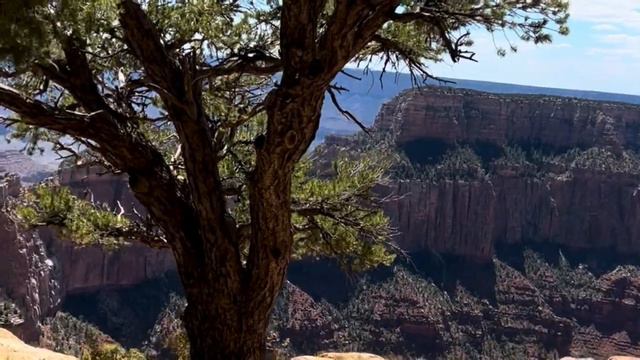 В одиночку по Америке🇺🇸! Grand Canyon-великий и ужасный! North Rim-Северный Рим смотреть онлайн
