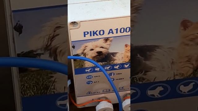 Електро пастух смотреть онлайн
