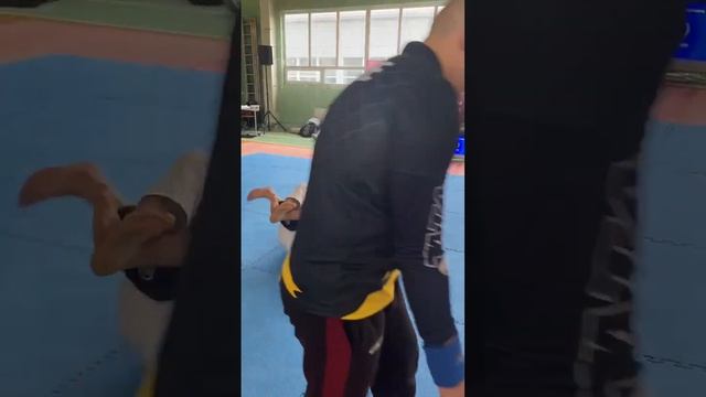 Дамаск бжж синий пояс смотреть онлайн