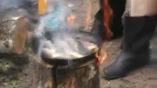 #kolpakov# kalastaja#рыбалка#отдых в #карелии смотреть онлайн