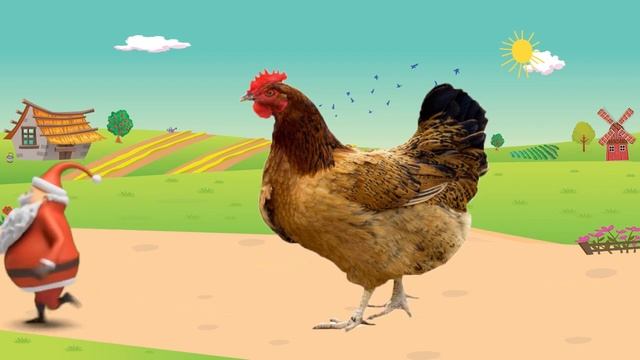 домашние животные для детей на ферме - картинки животных для детей купить | BonBi TV смотреть онлайн