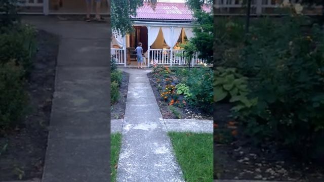 Как я учился кататься на двухколесном скейтборде Ripstik смотреть онлайн