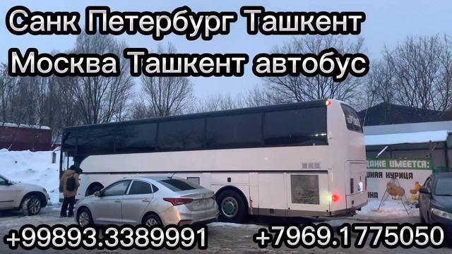 Москва Ташкент автобус смотреть онлайн