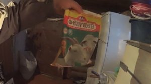 Чем кормить коз? Рацион кормления коз. Что едят козы? Жизнь в деревне