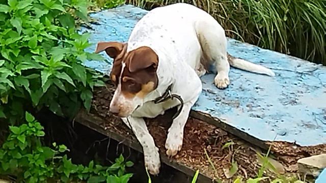 Всем прекрасного воскресного дня смотреть онлайн